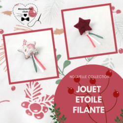 Boutique étoile filante Baies rouges - jouet étoile filante pour chat de couleur rouge et blanc avec motifs baies hivernales